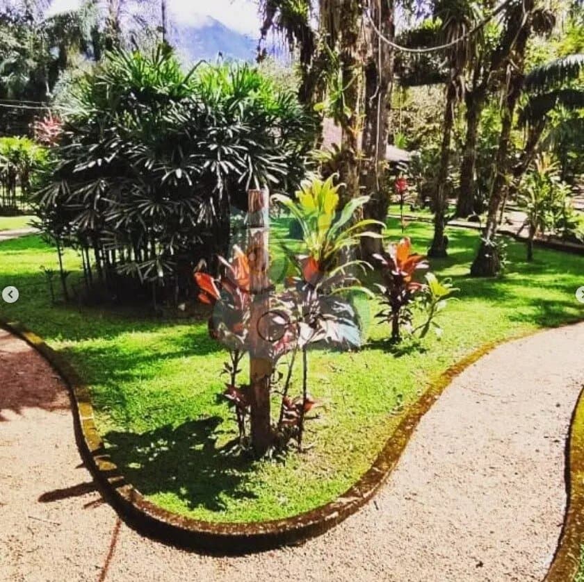 Chácara para venda, 3 quarto(s), , Morretes - CH645 - foto 2