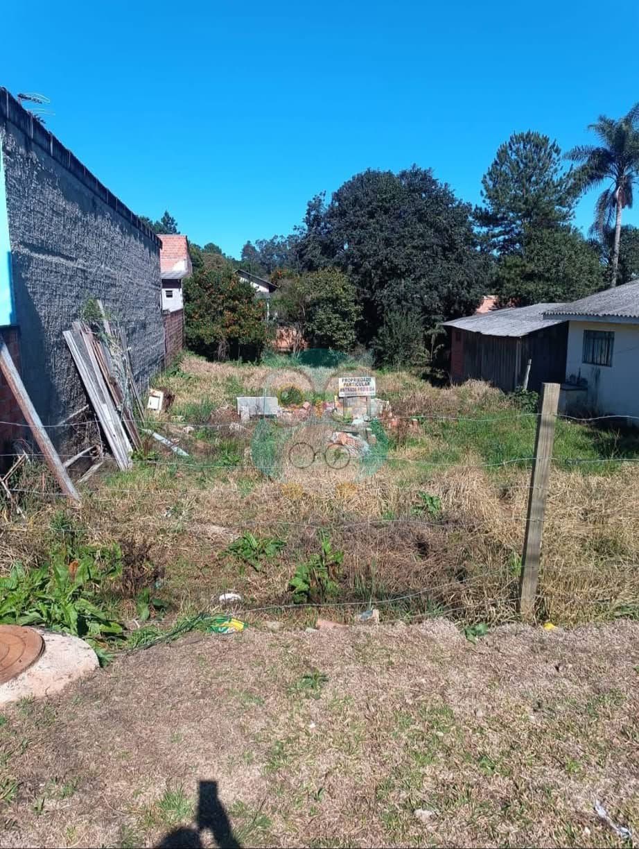 🏡 TERRENO À VENDA – TIMBU VELHO | CAMPINA GRANDE DO SUL/PR - foto 3